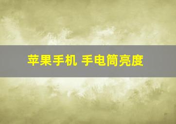 苹果手机 手电筒亮度